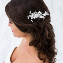 FD1-1183 Haarkam - G. Westerleigh