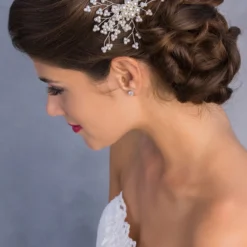 J3262 Haarkam - G. Westerleigh