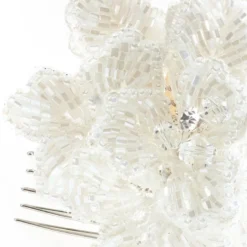 Poirier BB-249 Haarkam -Exporteren Pracht Trouw Winkel poirier bb 249 hair comb 3