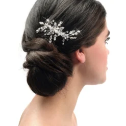 Poirier BB-438 Haarkam Zilver