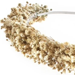 Poirier BB-622 Bloemen Diadeem -Exporteren Pracht Trouw Winkel poirier bb 622 tiara 4